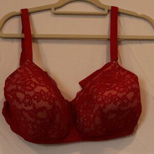 Red Lace Bra